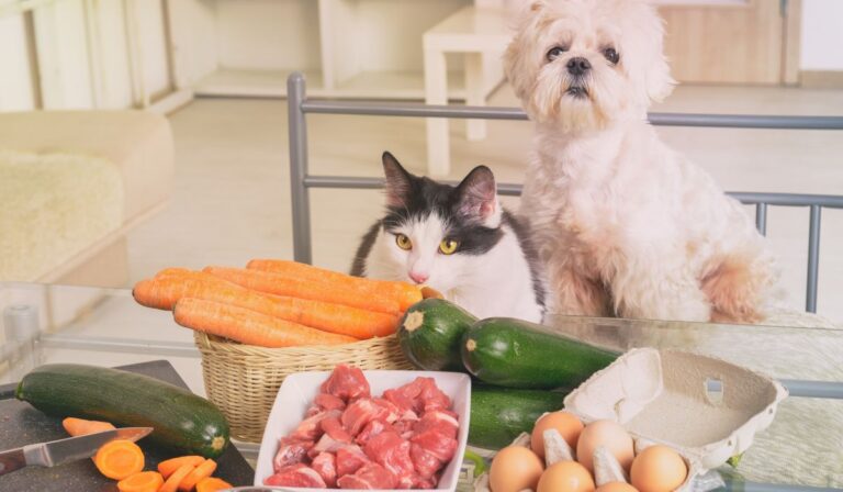 Cat and dog sit behind table of fresh vegetables and meat