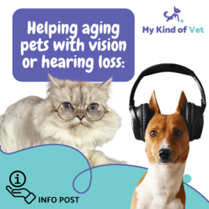 Help Aging Pets Hearing & Vision