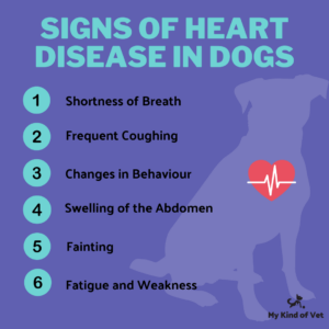 Signs Of Heart Disease In Dogs