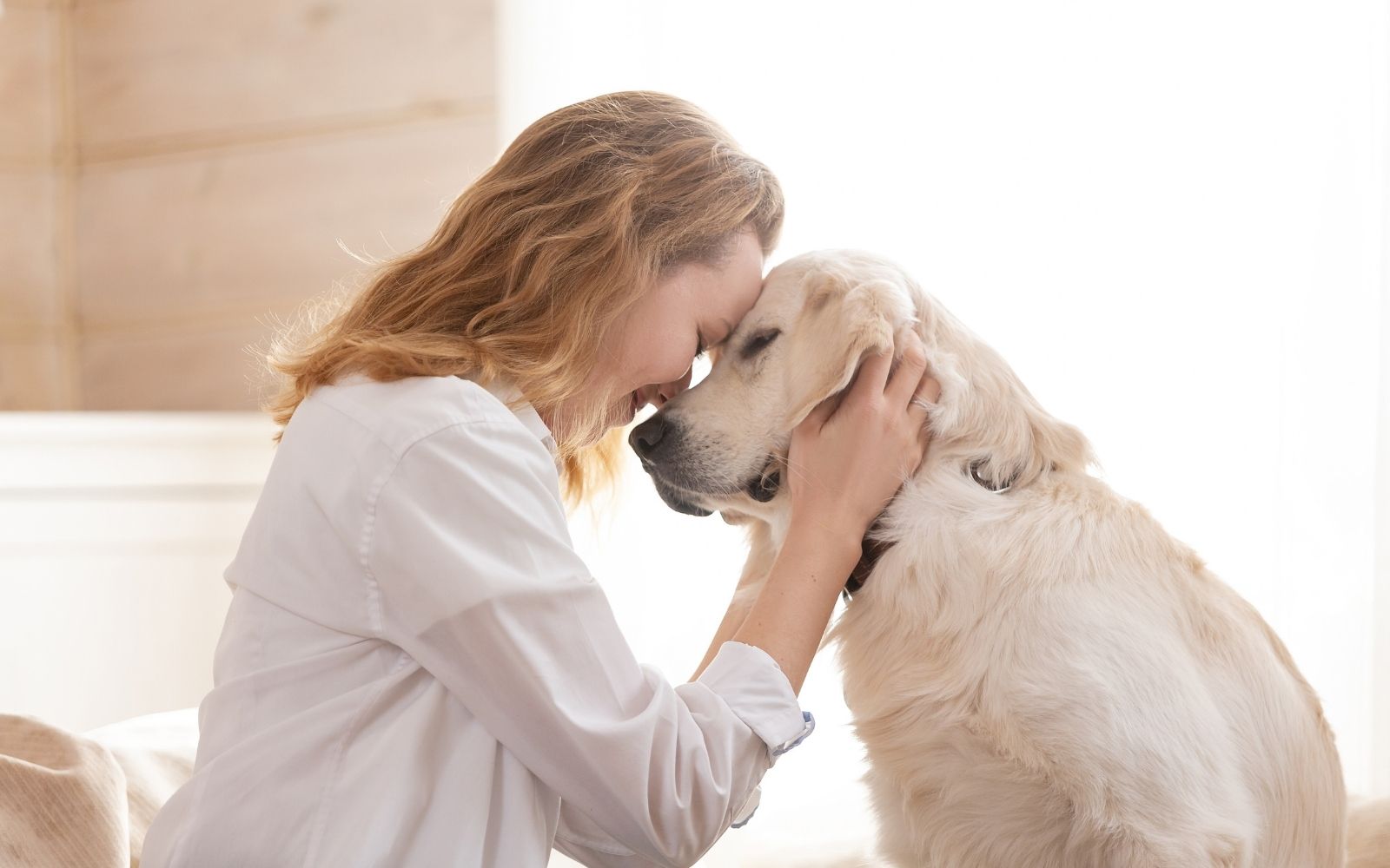 Owner happy with dog at home