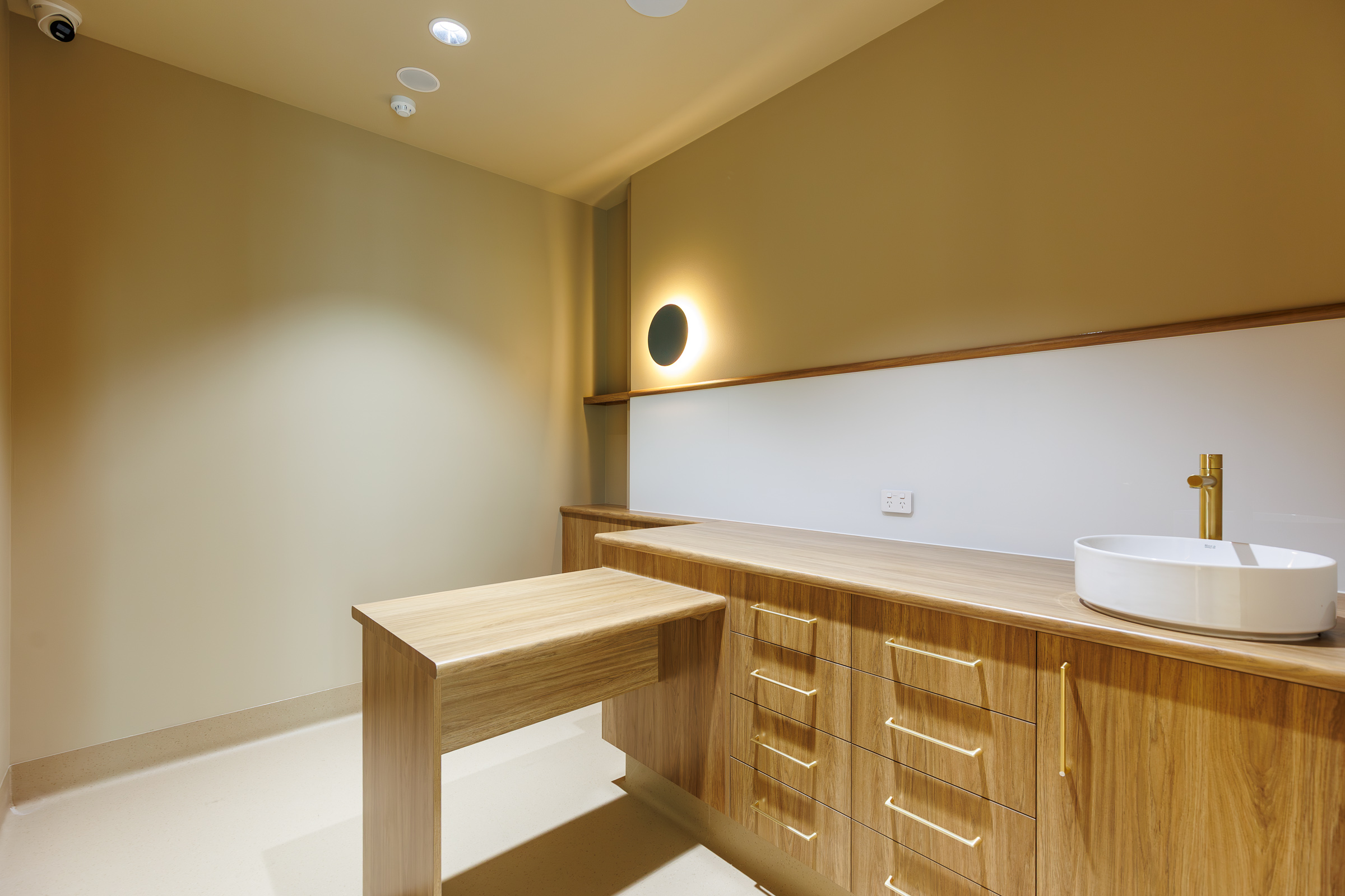 Calm cat consultation room