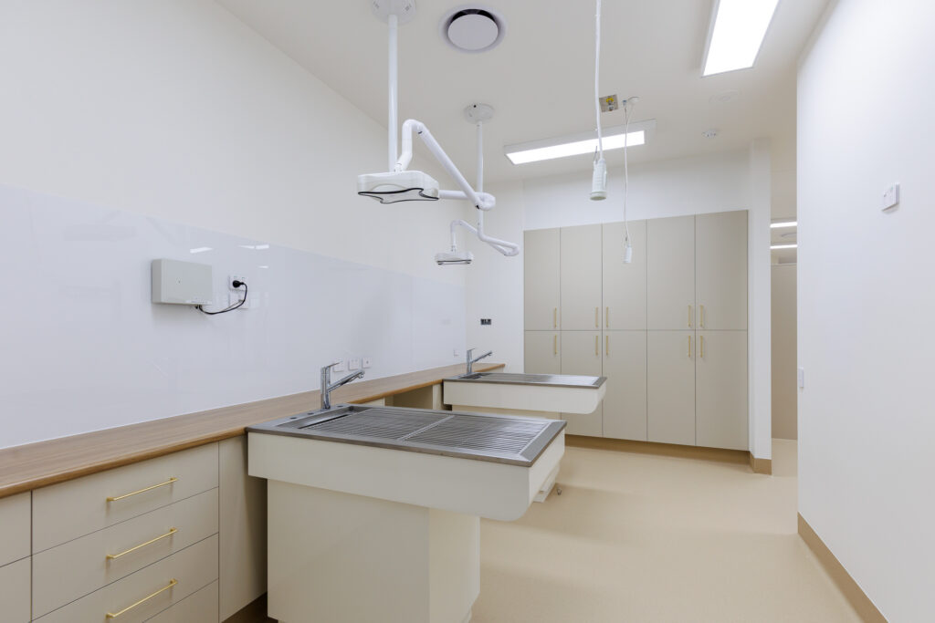 Dental Area