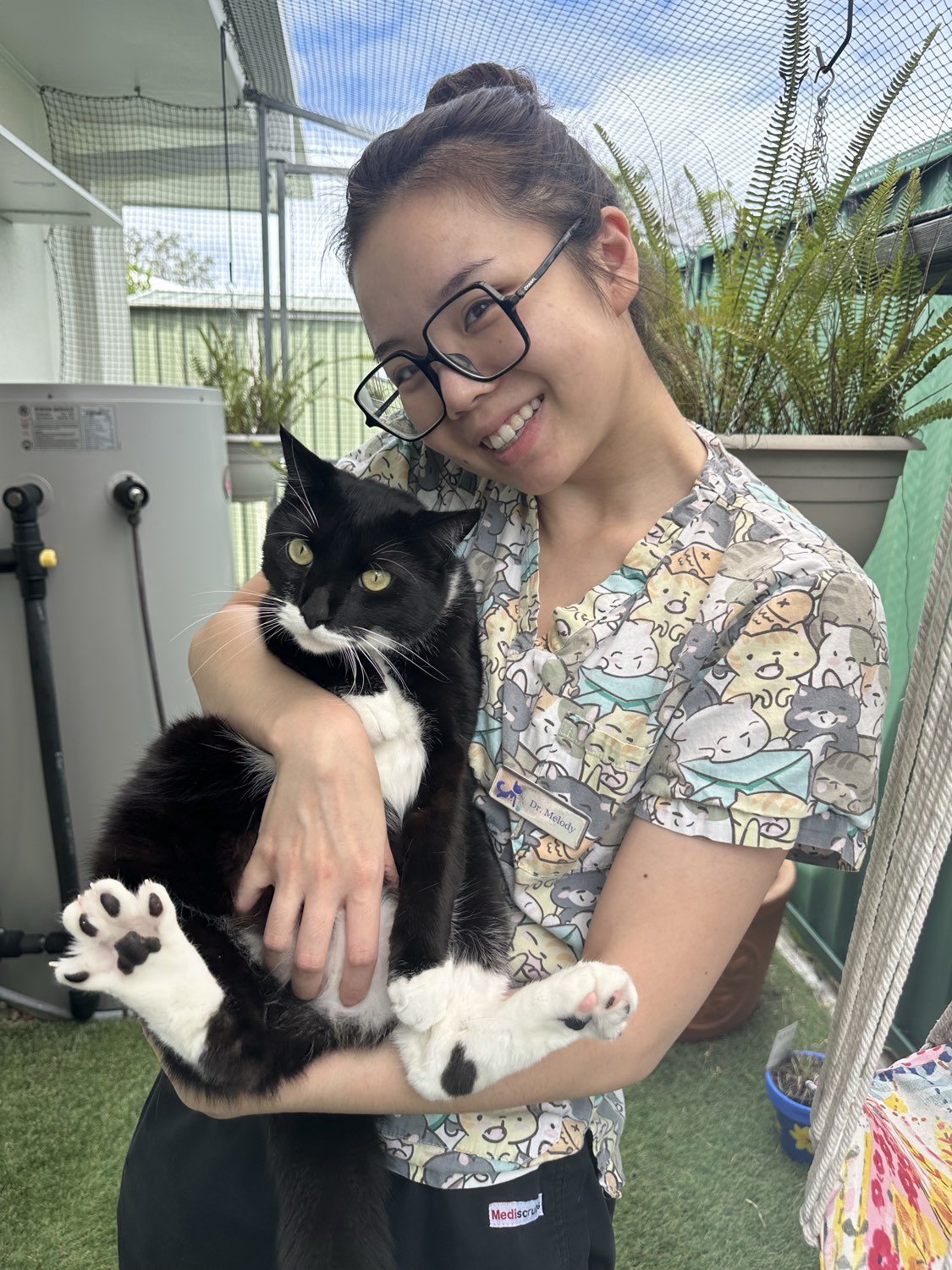 Dr Melody examining a cat at home